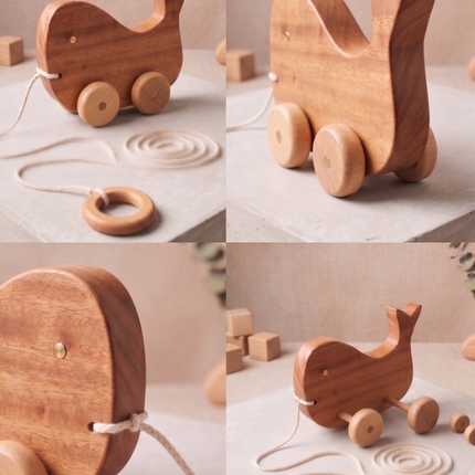 Fish Pull Along Wooden Toy